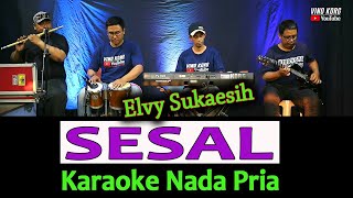 Download lagu Karaoke Dangdut SESAL NADA PRIA [ Elvy Sukaesih ] mp3