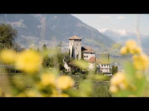 Apfelblüte - Fioritura - Apple blossom. Südtirol Alto Adige