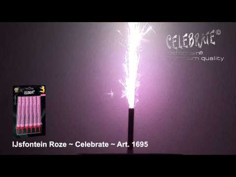 Art  1695 Celebrate IJsfontein Roze 1st