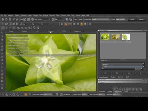 Texturizando uma fruta com Mari 2.0 – Dica da Semana