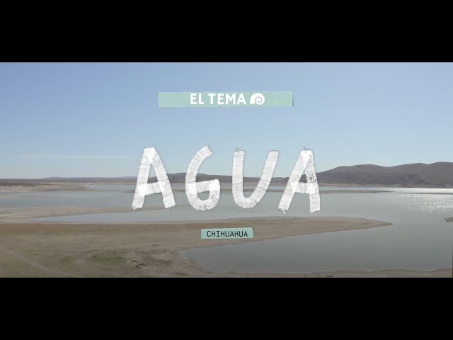 Video de pronunciación de tema en Español