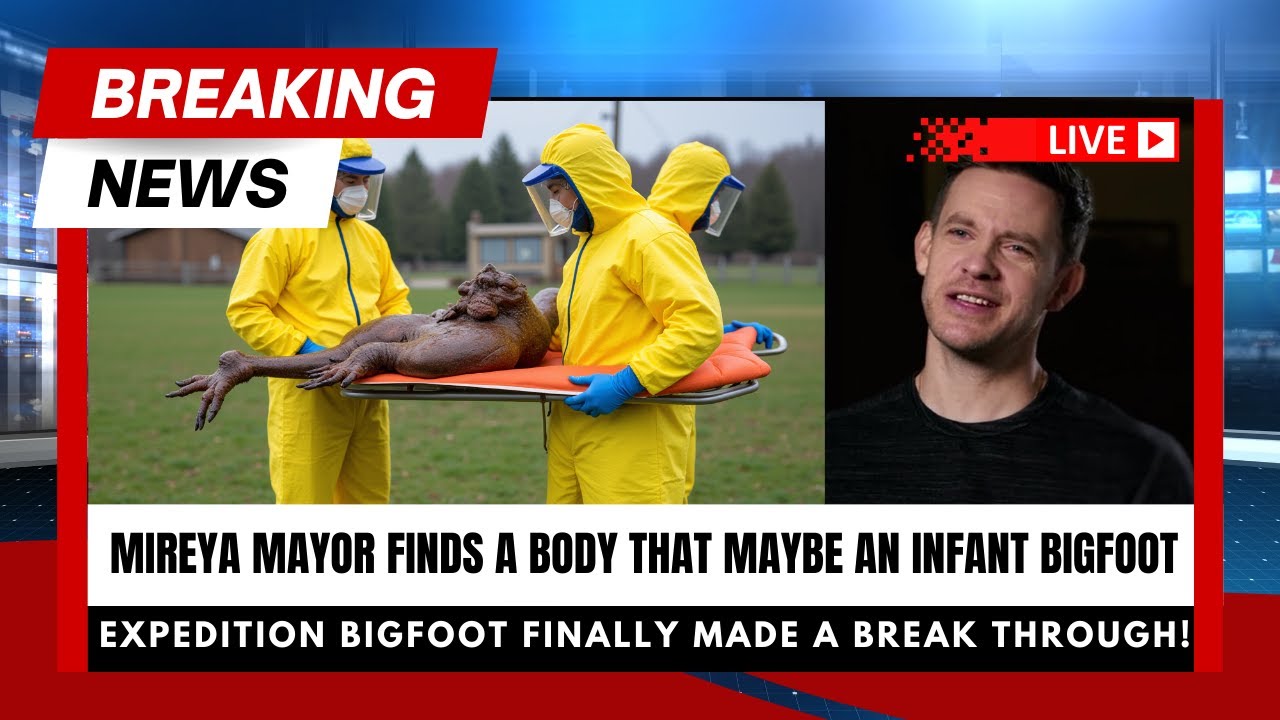 YouTube Thumbnail Downloader FULL HQ IMAGE