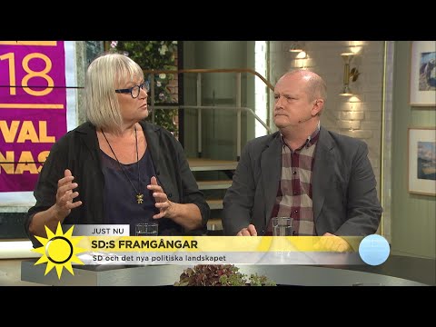 SD:s framgångar i Skåne: ”De är inte utestängda på samma sätt där” - Nyhetsmorgon (TV4)