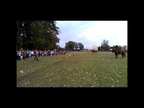 Ułani Poznańscy - władanie bronią