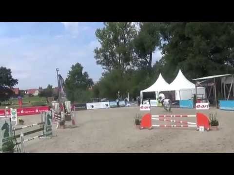 Horse Gym's Happiness (*2009 v. Clarimo) - 18.08.2016 Killingen - Stil A