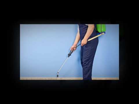 General Pest Control in Sydney, AU - Advantages Of Hiring Professional Pest Control