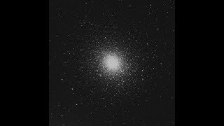 Jacqueline Krebsbach video