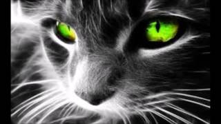 Flo rida Feat Akon Liz Elias At night - Audio