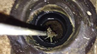 Plumbing - How to Remove Tree Roots from a Clogged Toilet Drain Pipe