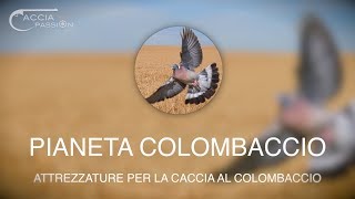 PIANETA COLOMBACCIO: Attrezzature per la Caccia al Colombaccio _  con GIOVANNI PIEROTTI
