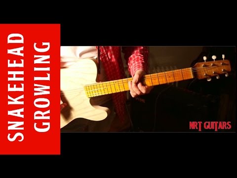 NRT Snakehead turns out to be a growling beast !