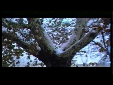 alessandro zulli Francavilla al mare  "  BUNKER  1993 "