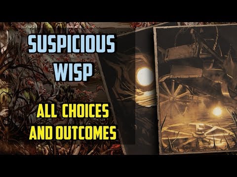 Suspicious Wisp All choices - Thronebreaker the Witcher Tales - (The Misguiding Light)