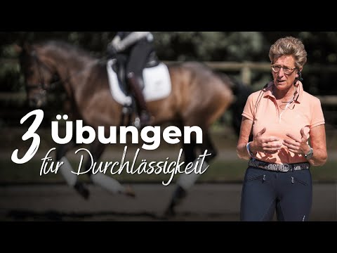 Heike Kemmer: "Meine Top 3 für Losgelassenheit & Durchlässigkeit!"🐴💪🏻 | Amselhof Dressage🦄