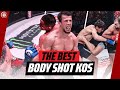 GUT-BUSTING Shots!?? | BRUTAL Body Shot Knockouts | Bellator MMA