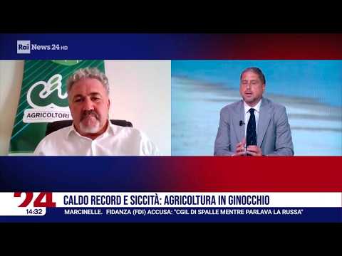 RAINEWS 24 - Caldo record e siccità: danni ingenti all'agricoltura. Con Graziano Scardino, Cia