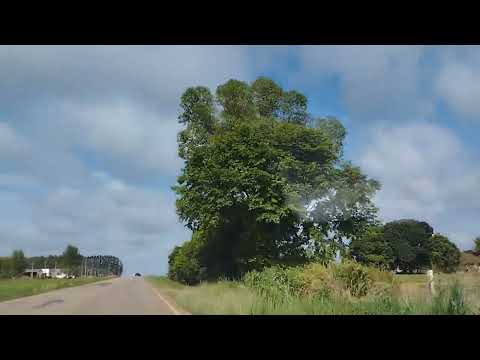 trajeto do serviço entre cerejeiras e Corumbiara Br 435 em Rondônia
