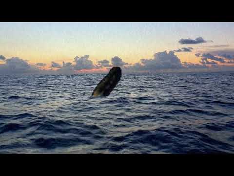 Giant Tentacle In Ocean