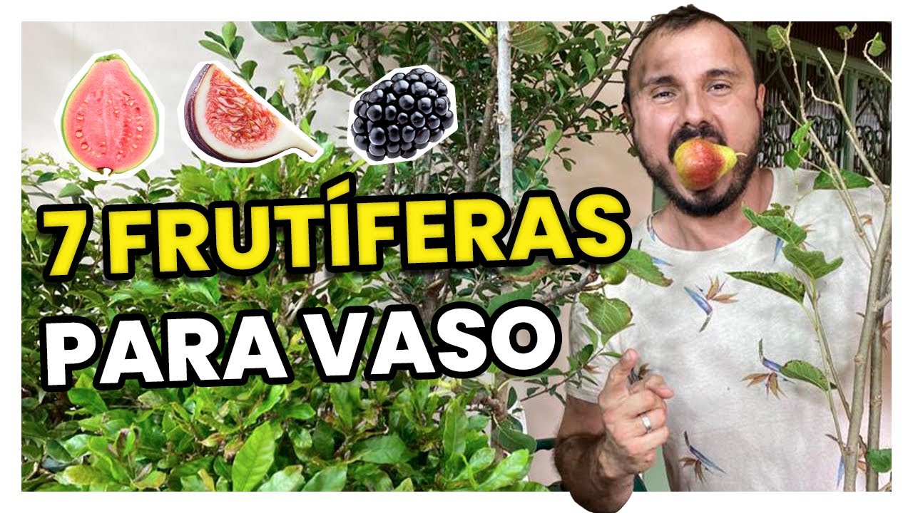 Watch Now 7 FRUTÍFERAS EM VASO - COMO PLANTAR E CULTIVAR 7 FRUTÍFERAS EM VASO - COMO PLANTAR E CULTIVAR