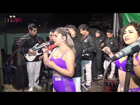 EL AMOR ES SOLO UNA PALABRA • FRANESIS Y SU GRUPO ESTRELLA • EL CHAPARRAL 2019 • BURGOS EDICIONES