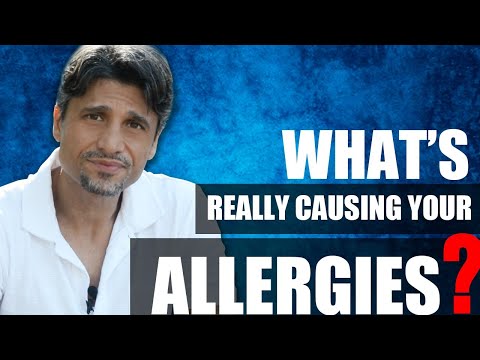 Cat allergy and other allergies - how shifting perceptions can heal you.