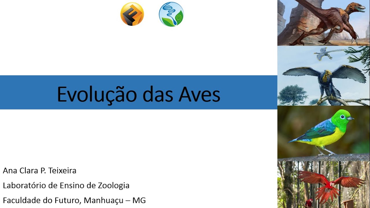 Evolução das Aves