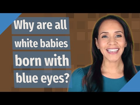 Why are all white babies born with blue eyes?