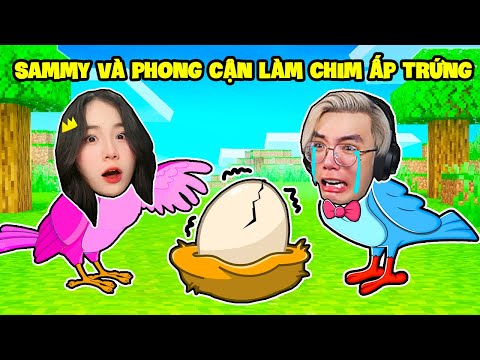 SAMMY VÀ PHONG CẬN MỘT NGÀY LÀM GIA ĐÌNH CHIM ẤP TRỨNG TRONG ROBLOX