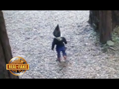 Real Life Gnome Sighting - real or fake?