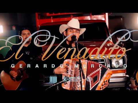Gerardo Mercado-El Venadito (En Vivo 2025)