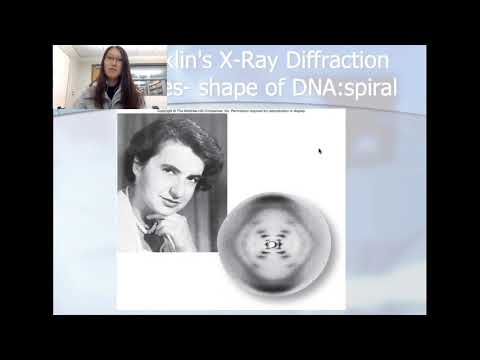 Molecular Genetics Lecture 1- DNA and RNA