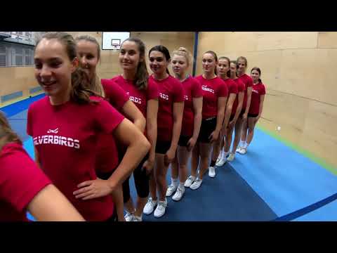 Stříbrní ptáčkové připravit! Letíme pro medaile!