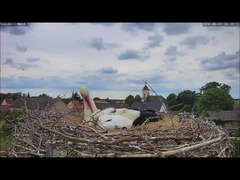 Schmuserunde mit Mama! 07.06.20