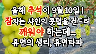 샤인 조기수확을 위해 알아야할 #휴면생리, #휴면타파