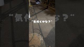 暗闇にパパがいたらフレブルは気付く？🤔