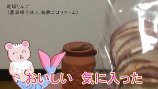 秋田のおいしいものレビュー【Vtuberくまーめいど】