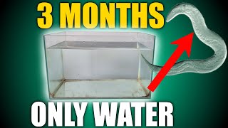 3 Months of Aquatic Succession