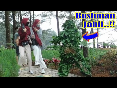 bushmannya-jahil-funny-prank