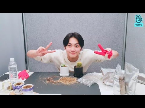 ENHYPEN Jungwon VLive | 210727 | Moving🌵🏠 (Eng Sub)