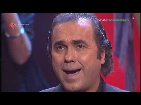 Flor de mi jardín. Pepe de Lucía. 2003