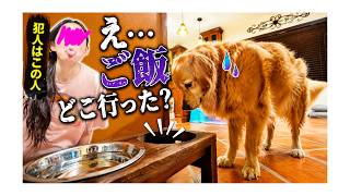 【アメリカ家族の休日】みんなで買い出しからの至福の焼肉そして愛犬への裏切り!