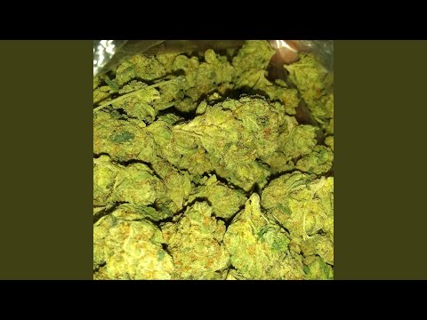 No Brakes (feat. Mick Cold)