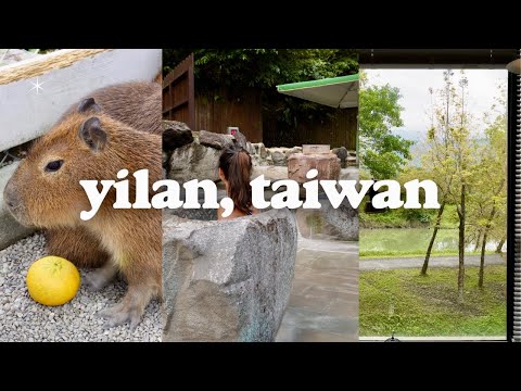 3 days in yilan, taiwan itinerary | where to stay, capybara farm and hot springs (taipei nature)