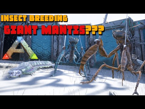 ARK: Insect Breeding A GIANT MANTIS!! & Arthropluera Mutations!!