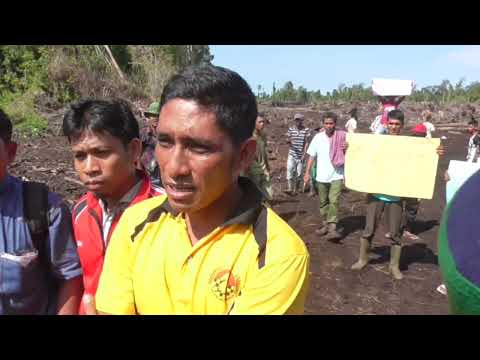 Sengketa Lahan Kebun Sawit H  Tito Di Rusak Warga 3 (14/5/2016)