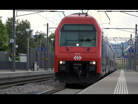 S-Bahn Zürich in Jestetten, S9 Schaffhausen