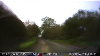 Nearly ran bambi over