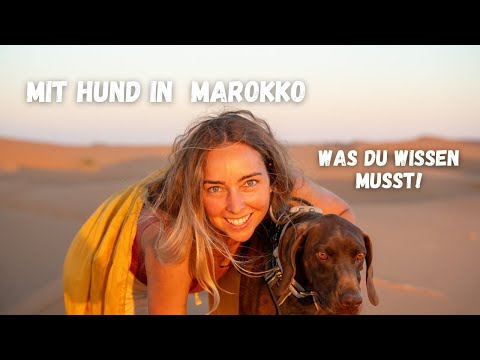 Vanlife Marokko mit Hund I Was du wissen musst !