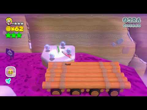 Super Mario 3D World 9-8 Speedrun - Time: 47