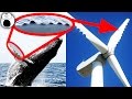 Amazing Technologies Inspired By Nature